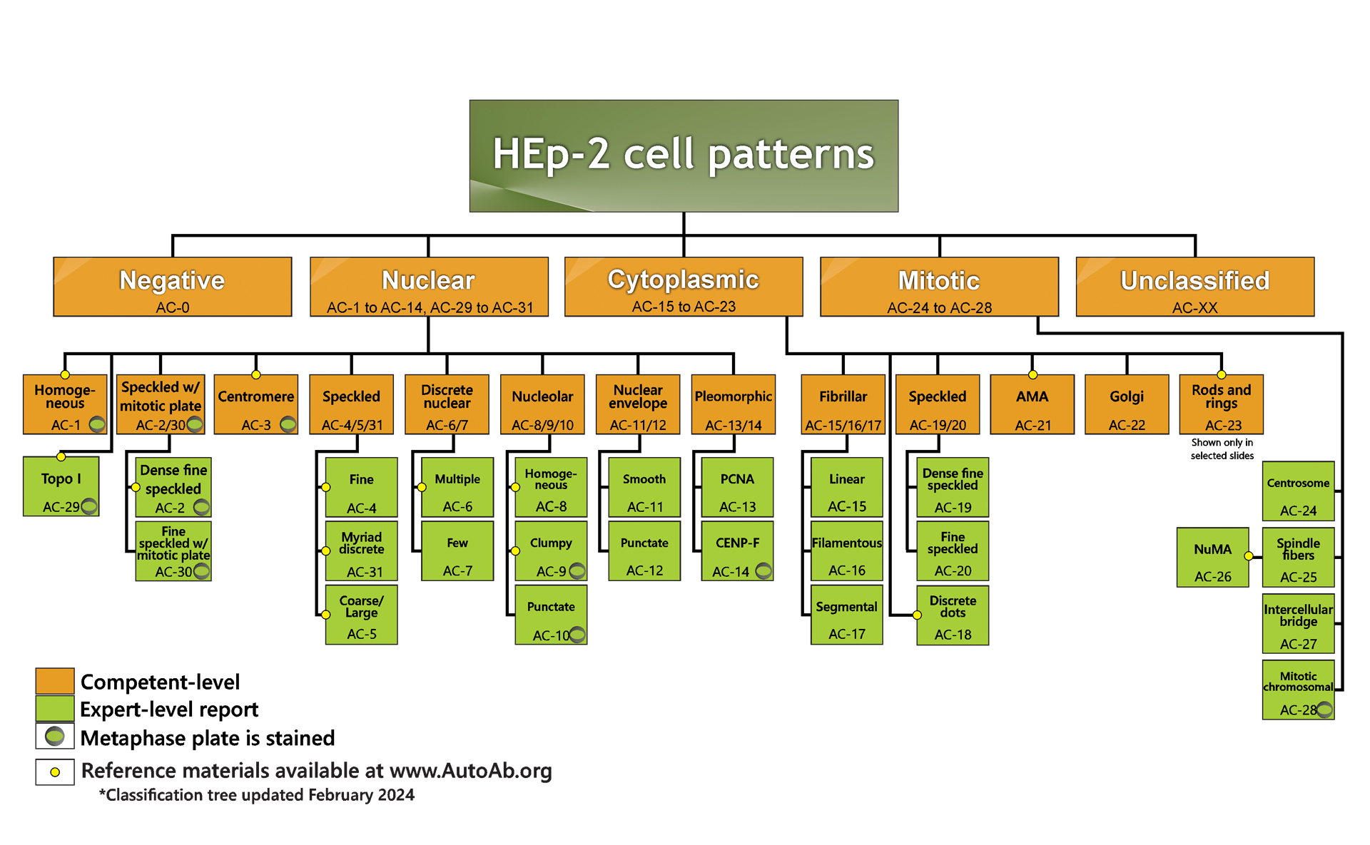 Nomenclature and Classification Trees