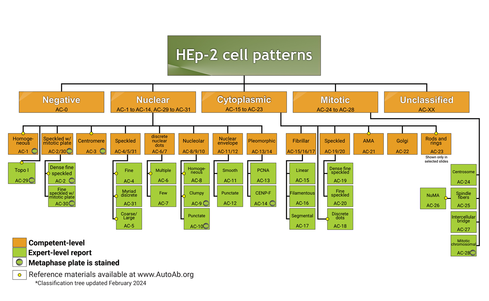Nomenclature and Classification Trees